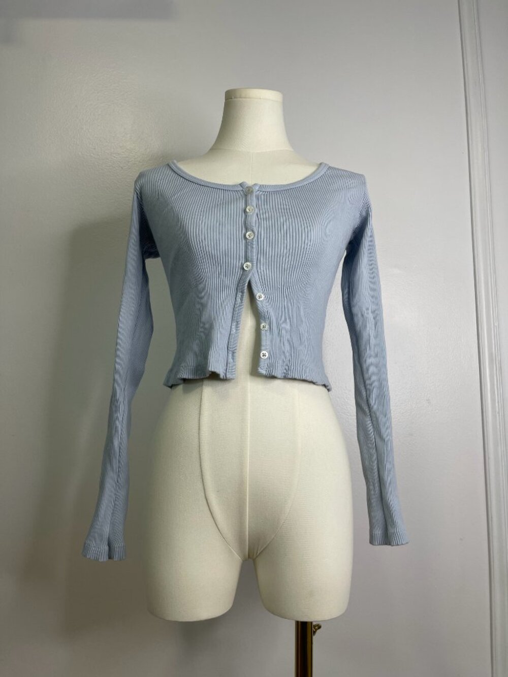 Light Blue Brandy Melville Scoop Neck Long Sleeve Crop Top